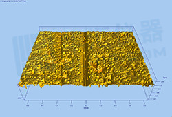 1600224466338239.jpg litixingmao-12.jpg